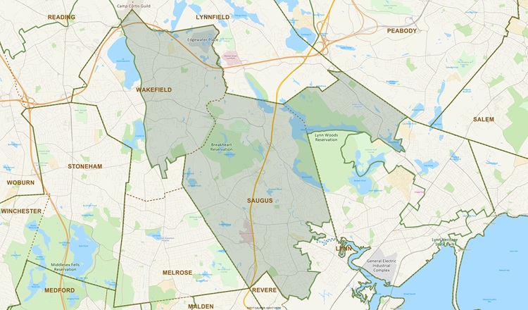 District Map of 9th Essex