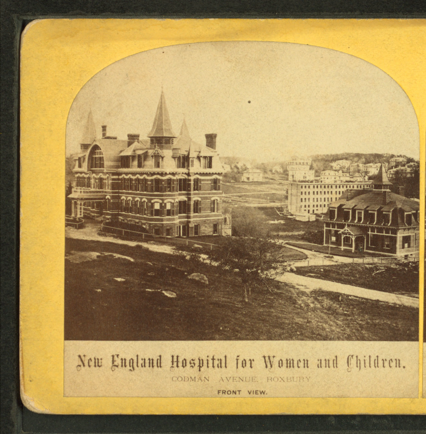 Thumbnail for Stefania Berlinerblau (Fanny Berlin) (1852-1921)