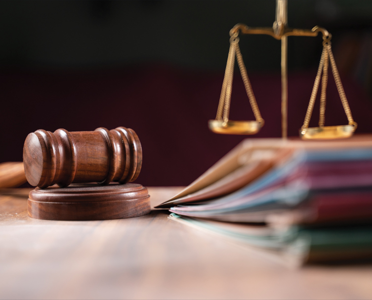 Equity, Access to Justice and Civil Rights image