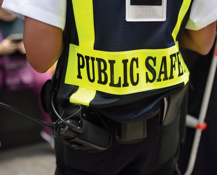 Public Safety image